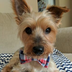 Meet your Posher, Amber